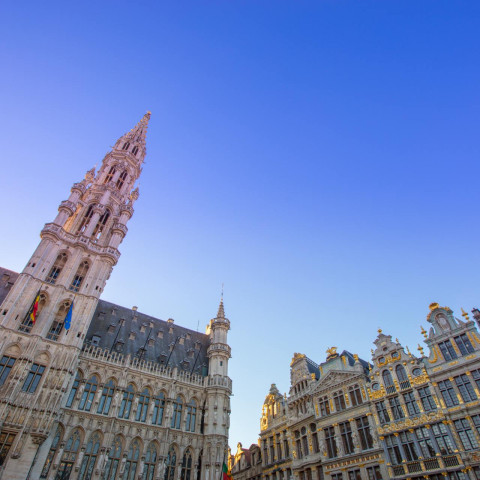 Grand Place- City Hall - Brussels